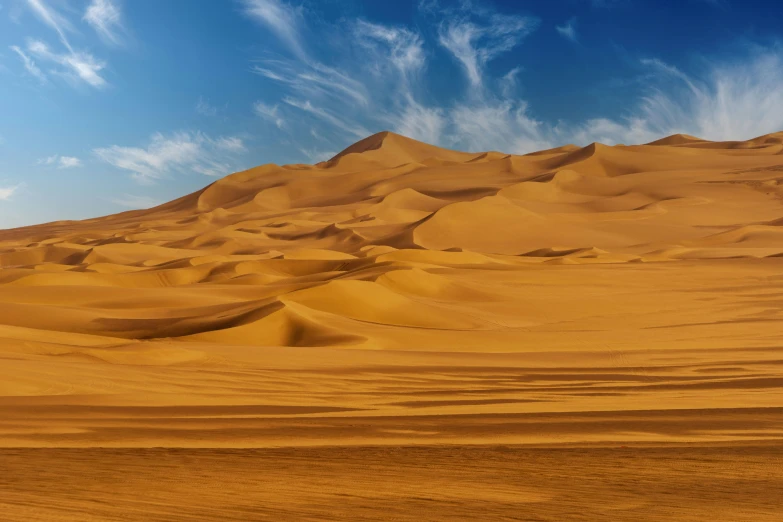 some sand dunes are in the distance and a sky background