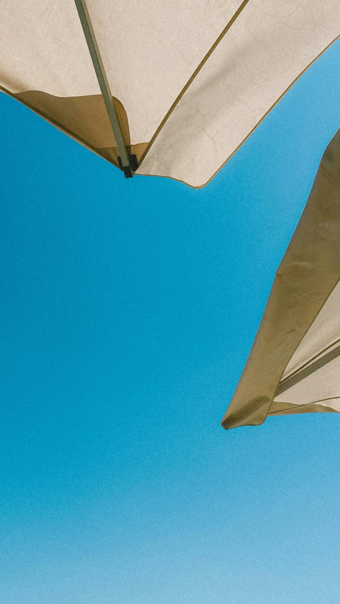 white umbrellas with a blue sky background