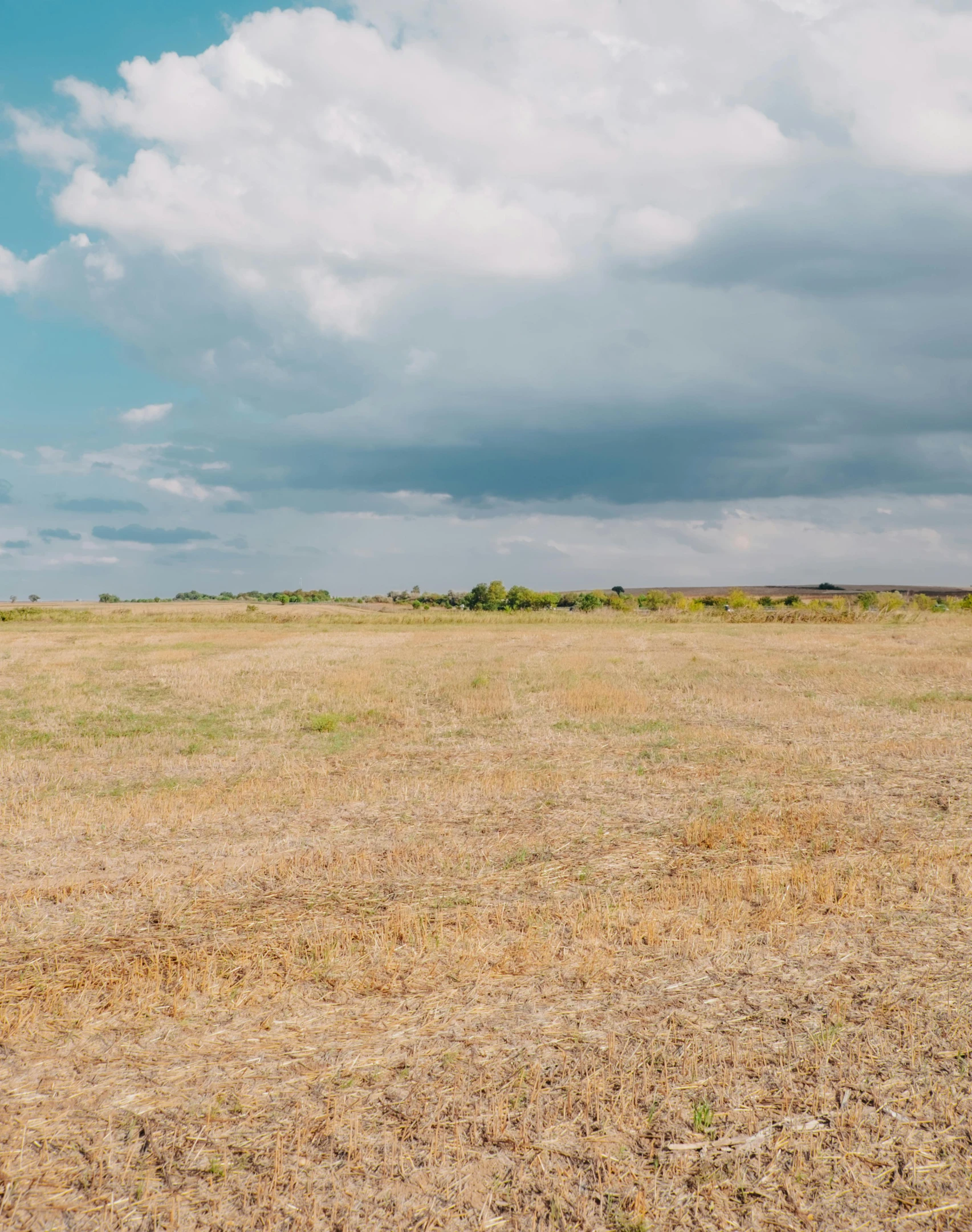 an empty open field with no grass on the ground