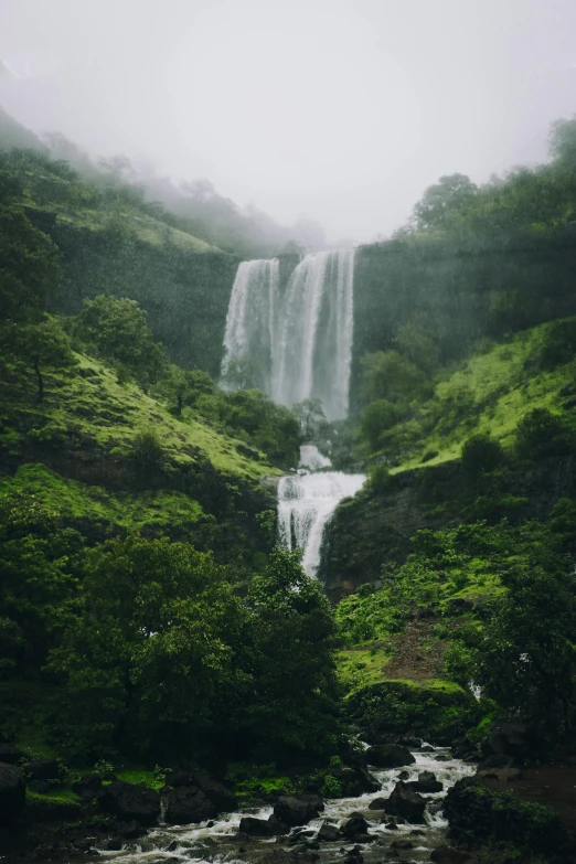 a waterfall has trees in the middle of it