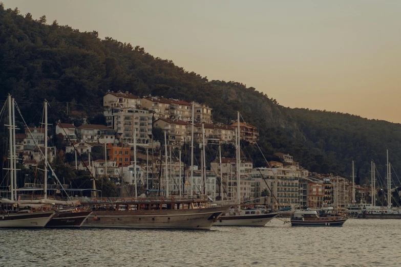 many different boats in the water near a hill