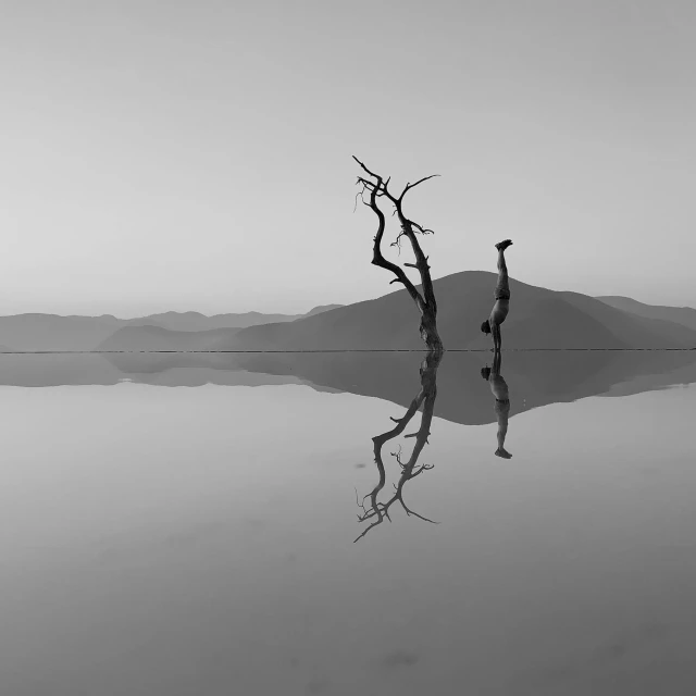 the reflection in the water is of trees