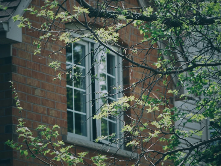 a brick building with open white windows and a tree nch