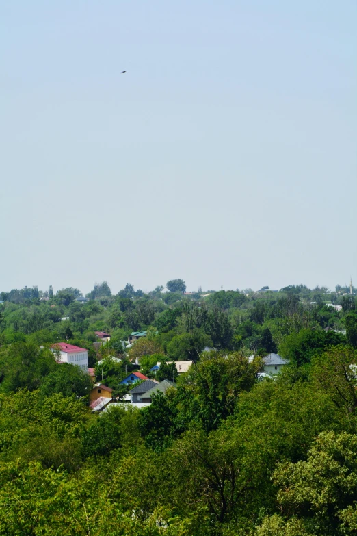 a village surrounded by trees on a clear day