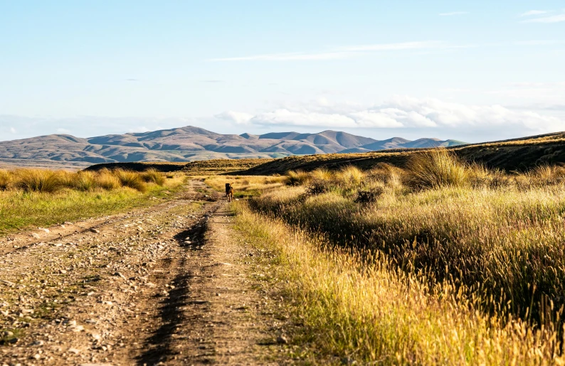 a dirt road and grassy area with mountains in the background