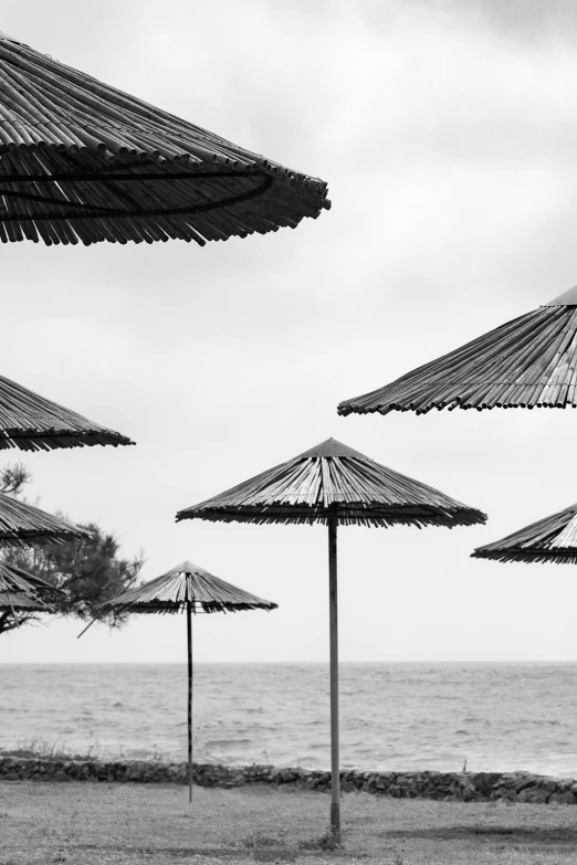 several umbrellas set up over the ocean