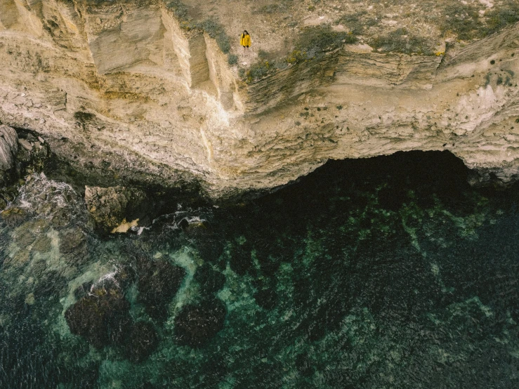 a bird sitting on top of a rock outcropping