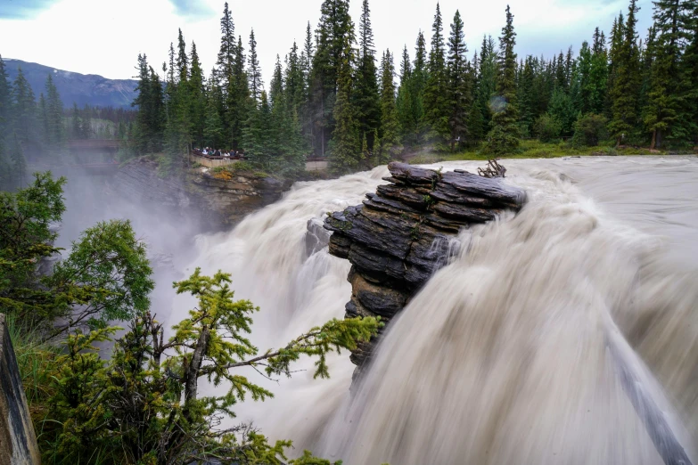 a waterfall in the woods with lots of water going over it