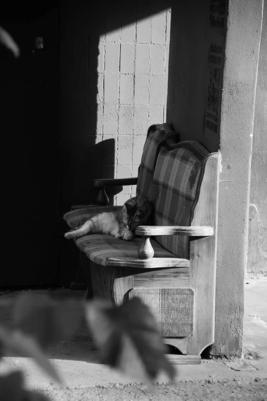 a cat resting on a chair outside of an old house