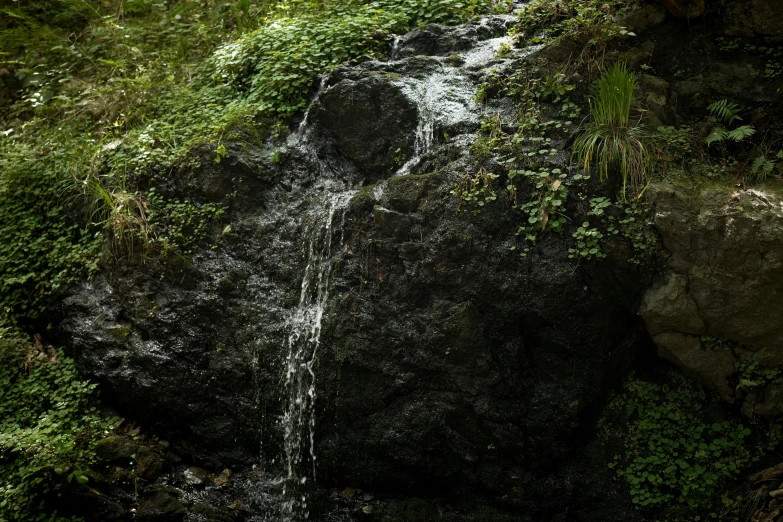 a water fall in the middle of some green vegetation