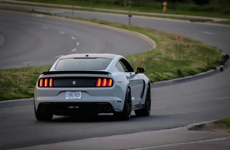 this mustang car is in front of the curve on the road