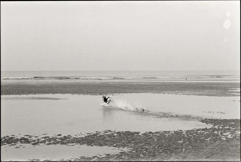 a black and white po of a surfer riding a wave