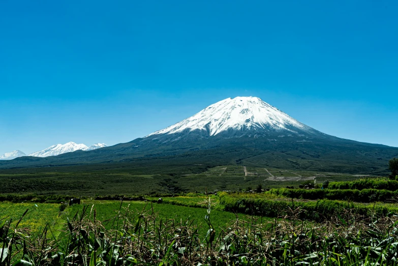 a big white mountain towering over a green field