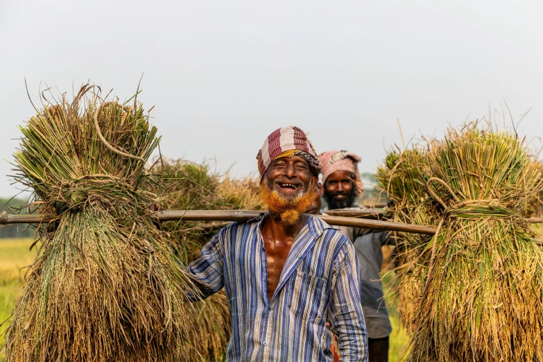 two men stand with a row of hay