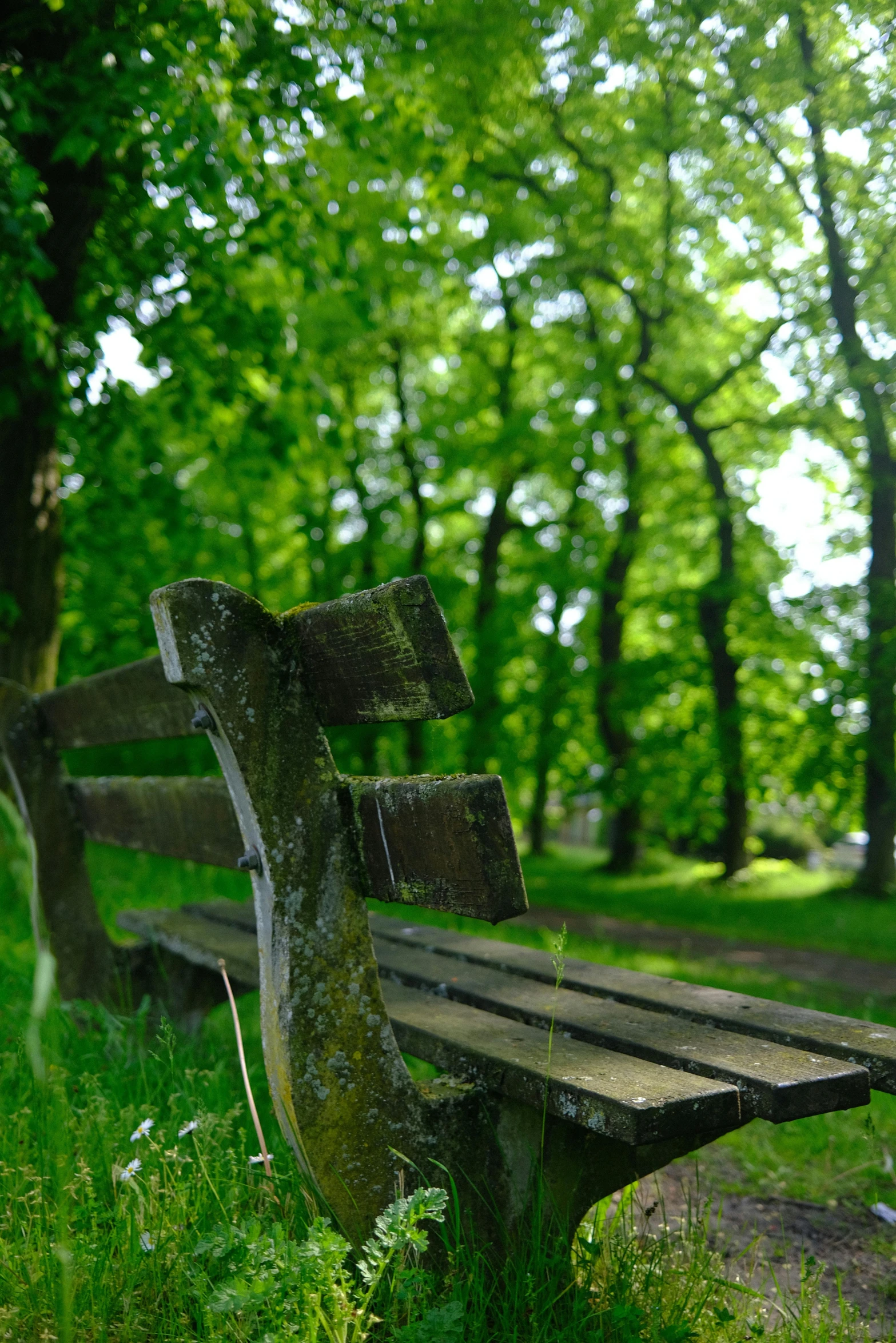 a bench with a seat in the middle of a park