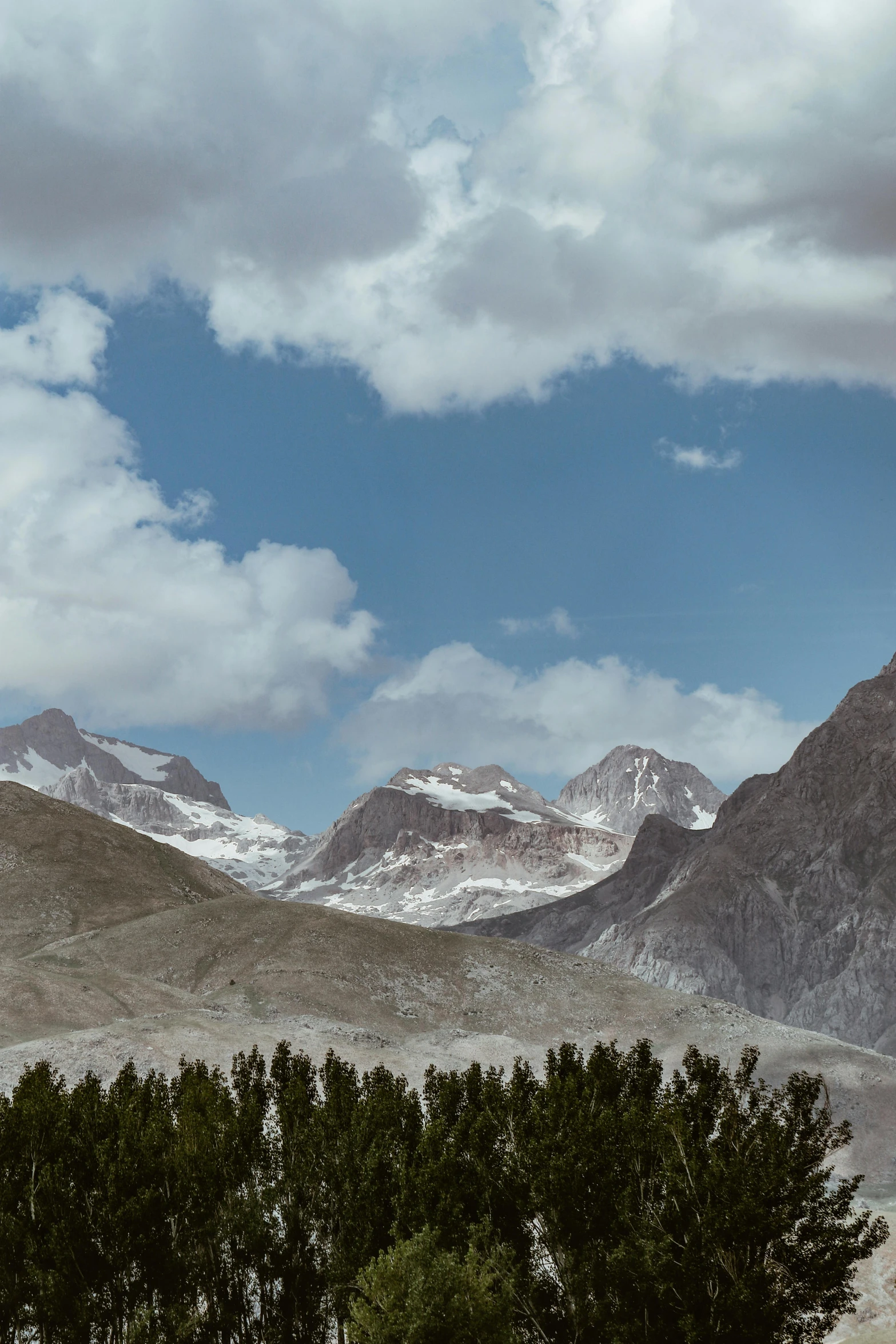 a view of the mountains and trees at daytime