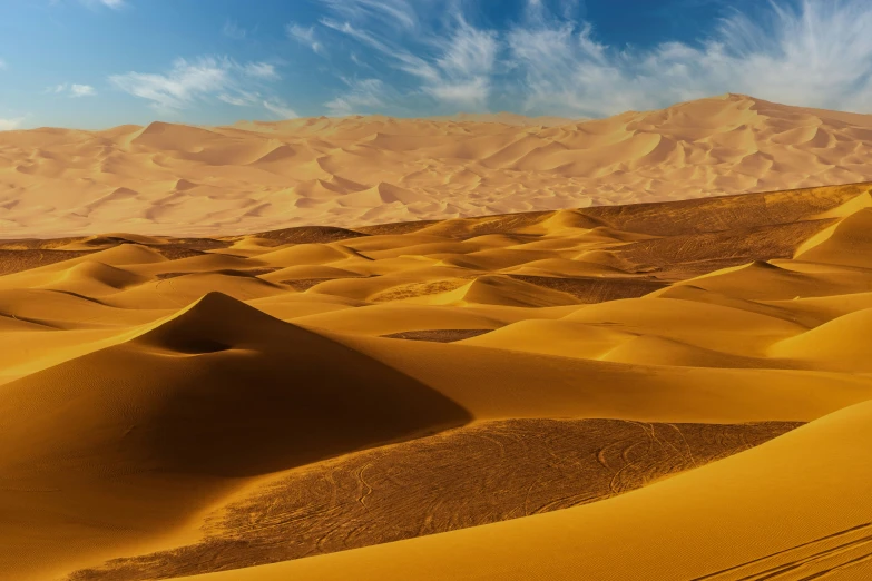 the sand dunes are empty and brown in color