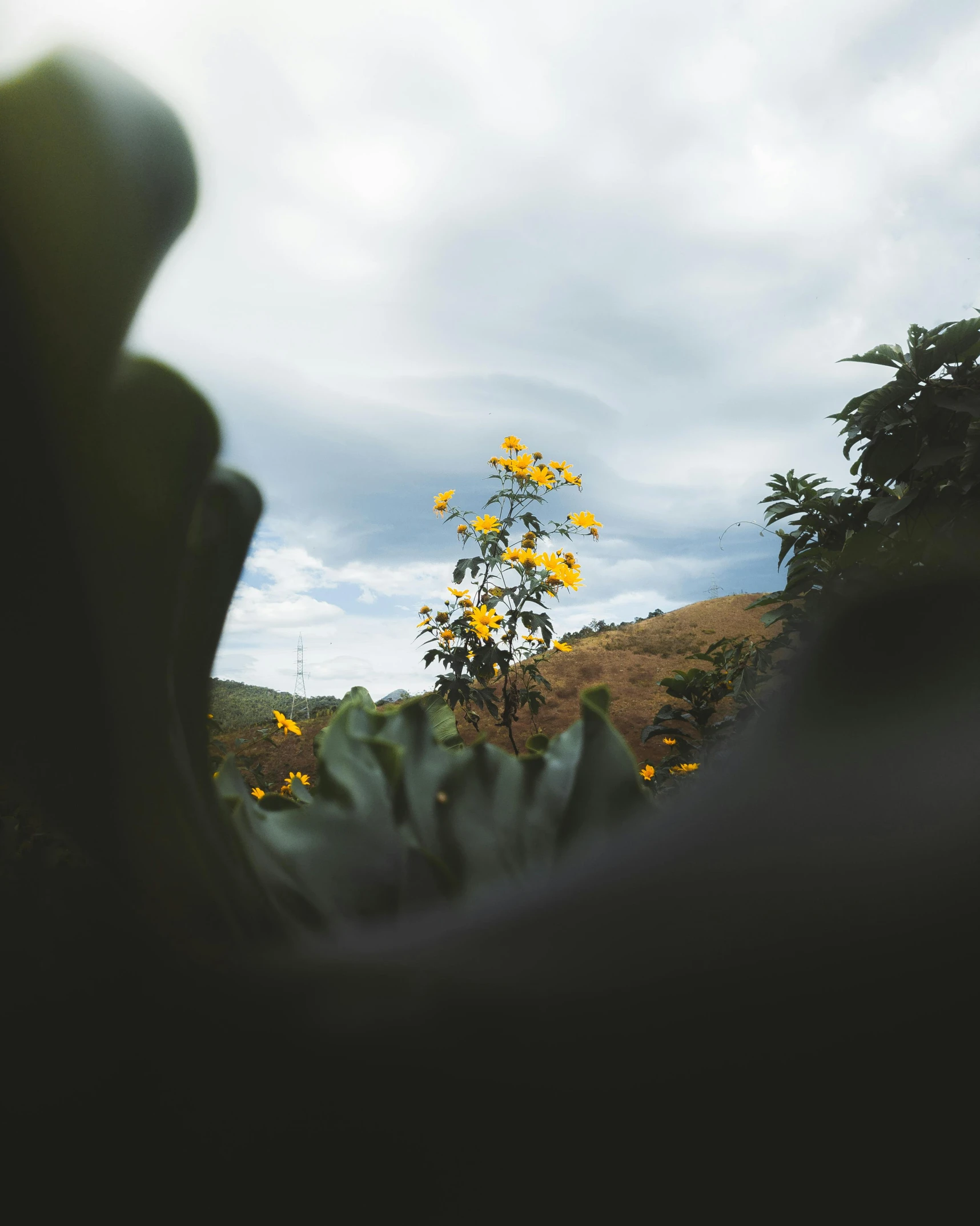 the back of a person's head and some flowers