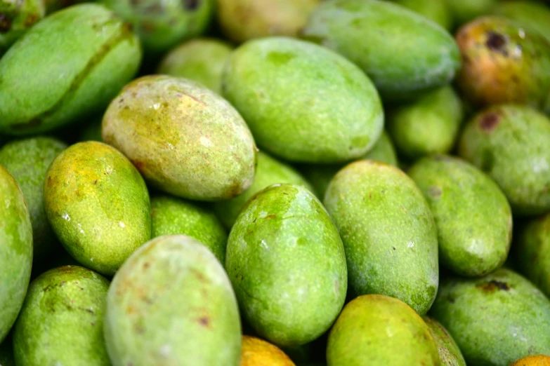 closeup view of a green and yellow pears