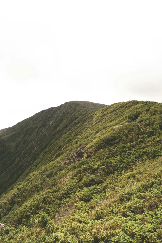 two people standing on the edge of a hill