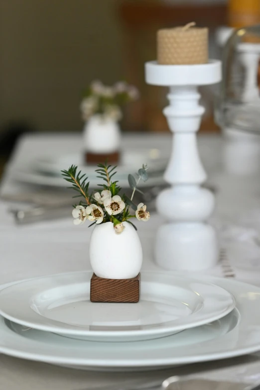 an image of flowers sitting in a vase on a table