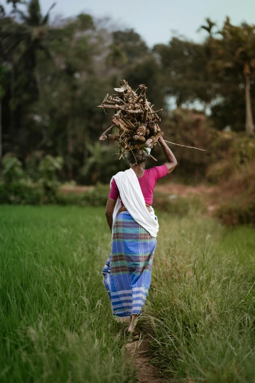 woman carrying large bundle of twigs across field