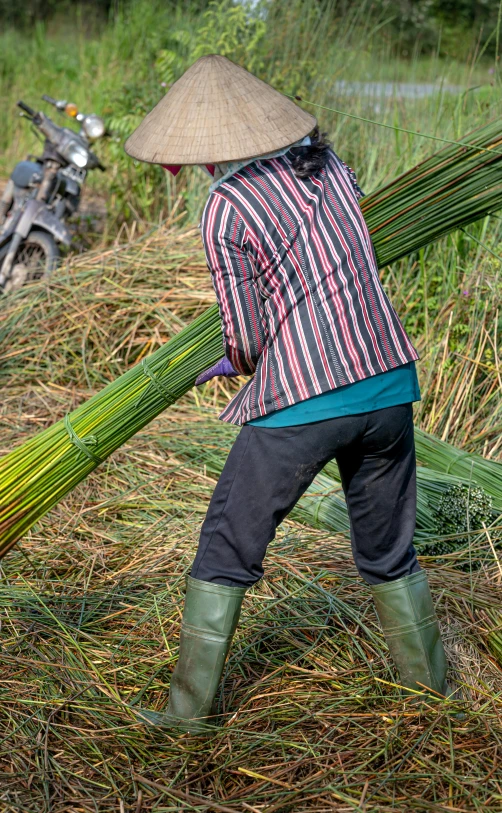 a woman carrying green plants in her hand