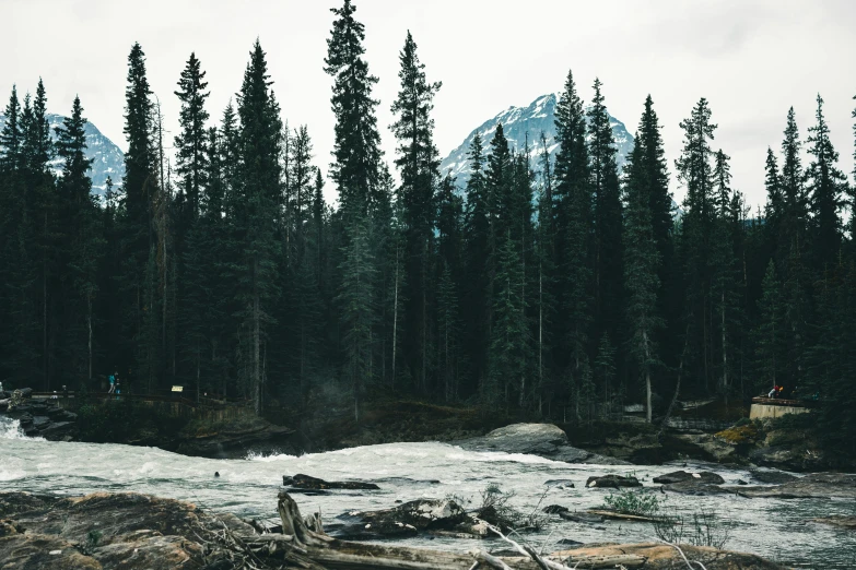 a stream running through some woods with a couple walking across it