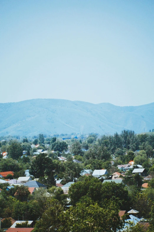 there is a hillside with some houses next to trees