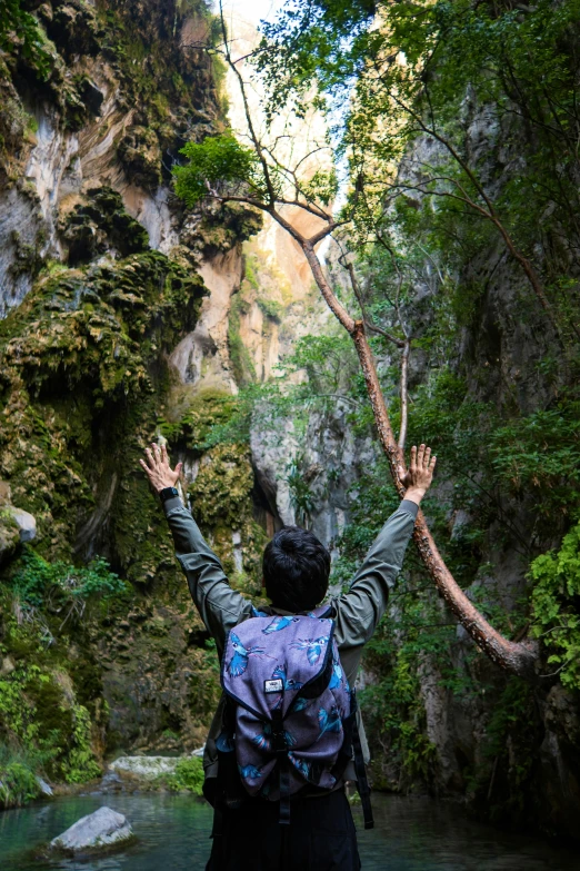 a person in a backpack holds his arms up while looking at mountains