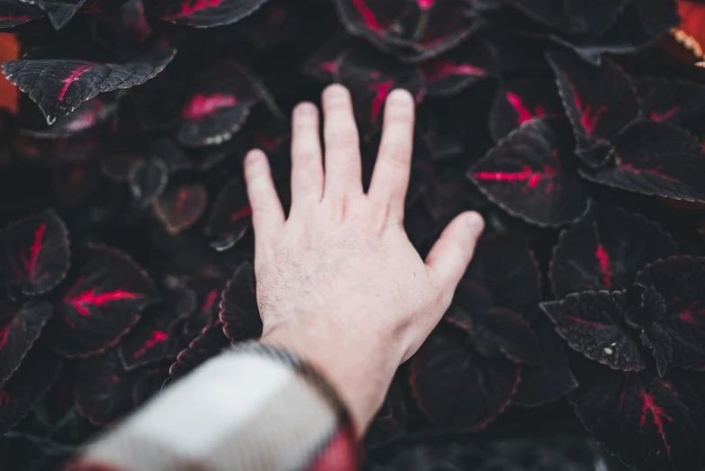 a man's hand on the ground with a bunch of flowers