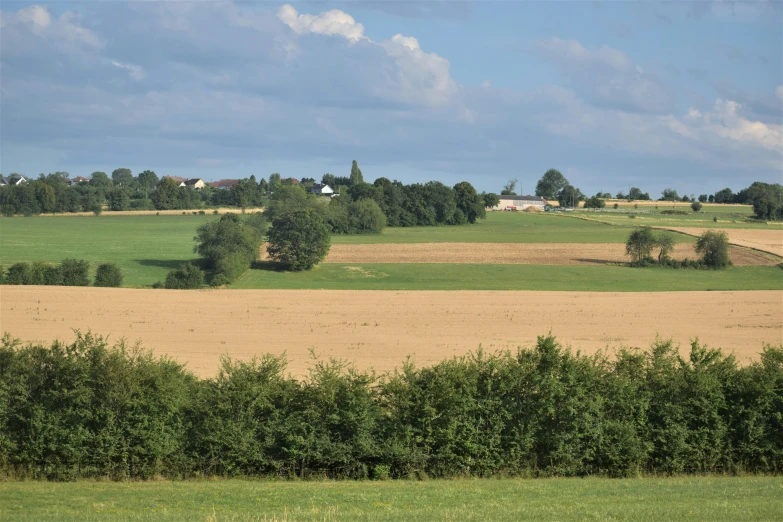 a green field sitting in the middle of a forest