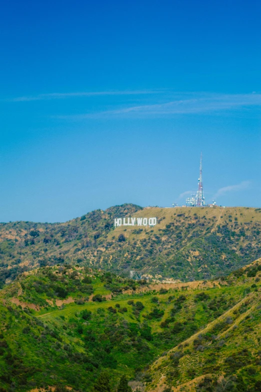 a hill with a sign that says hollywood above it