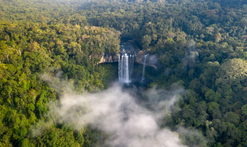 a very tall waterfall towering over a forest