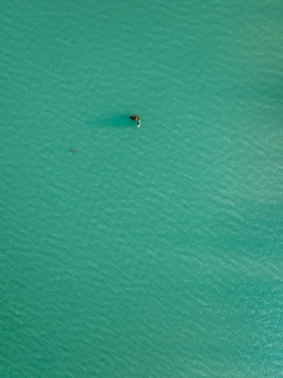 a group of people riding on top of a paddle boat