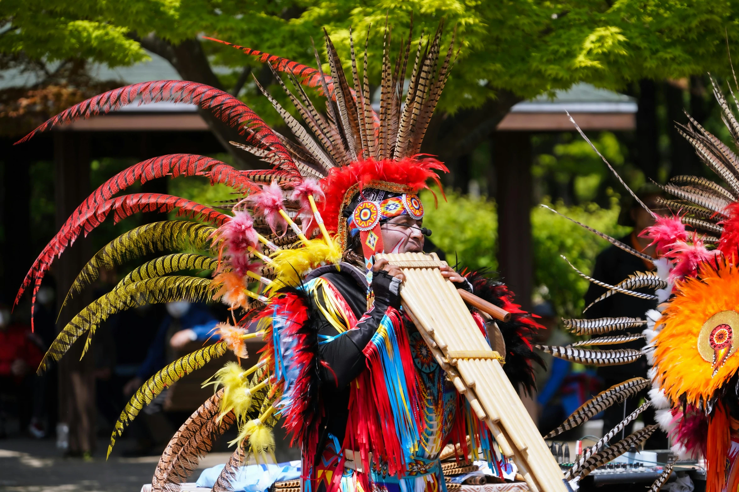 native americans are performing with sticks and other feathers