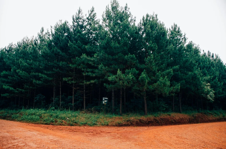 a dirt road in front of a tree filled area