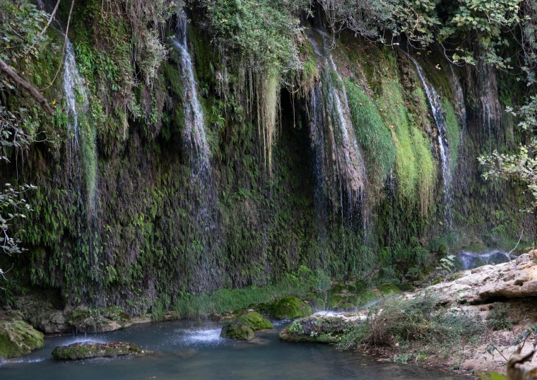 a stream running under trees with lots of water flowing from it