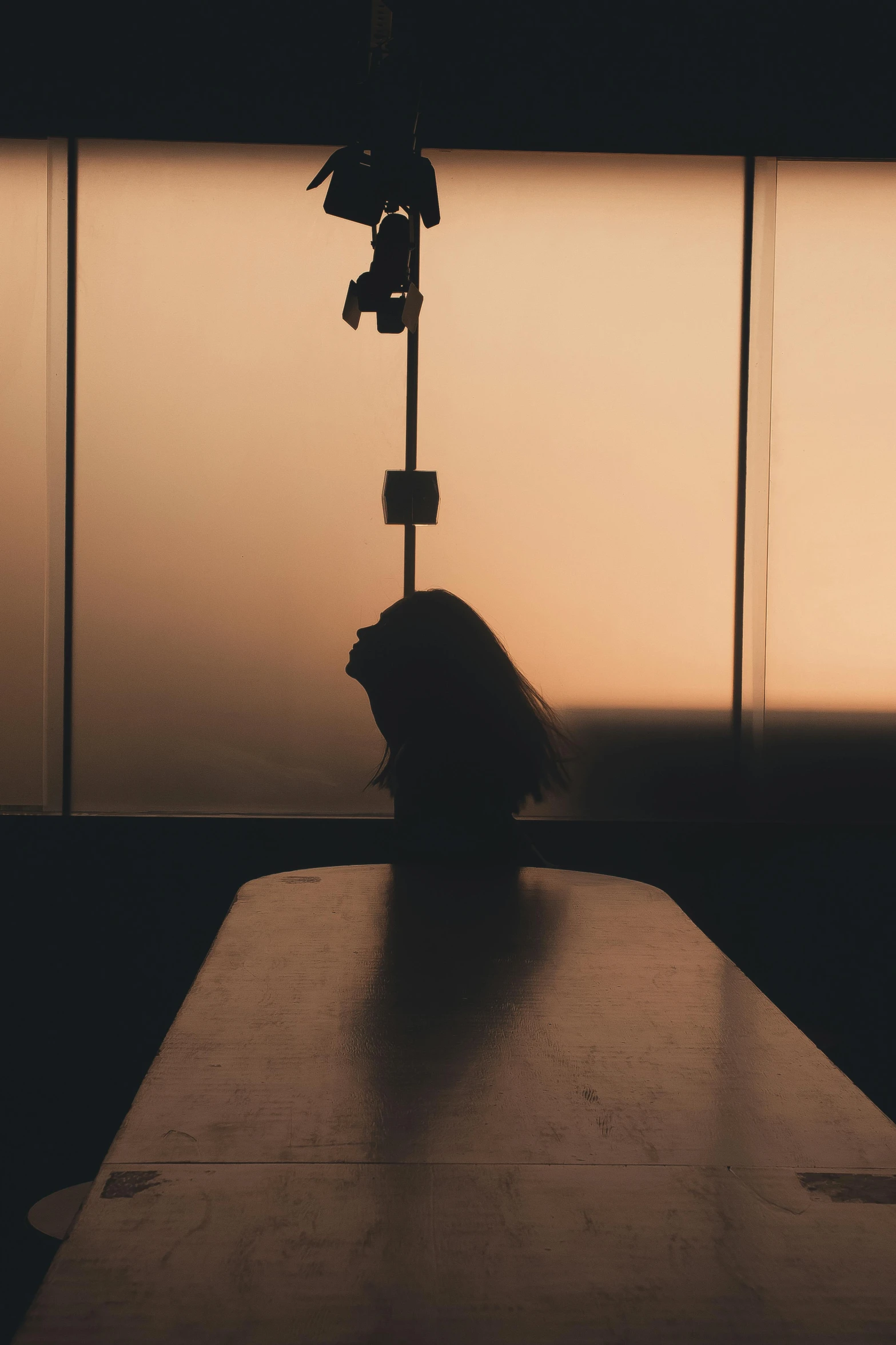 an animal is resting in its cage near the window