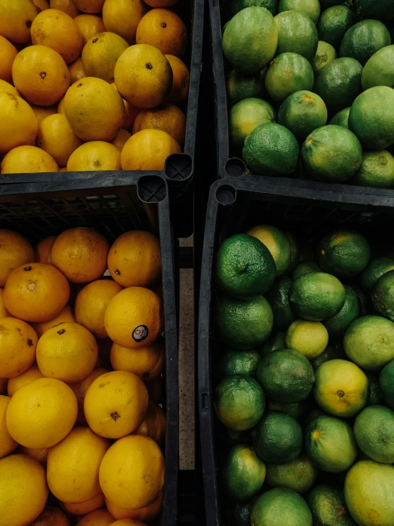 crates filled with many different types of fruit