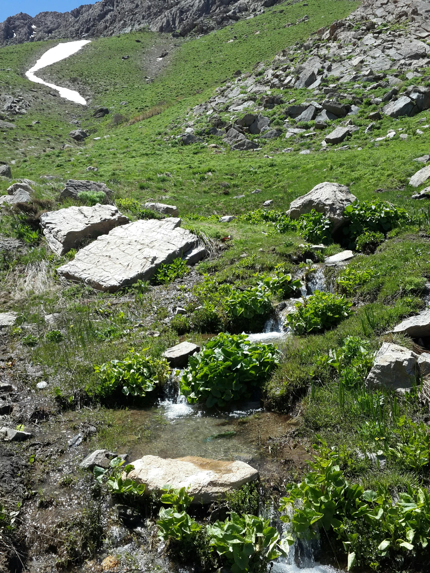 a mountain path is winding through a grassy area