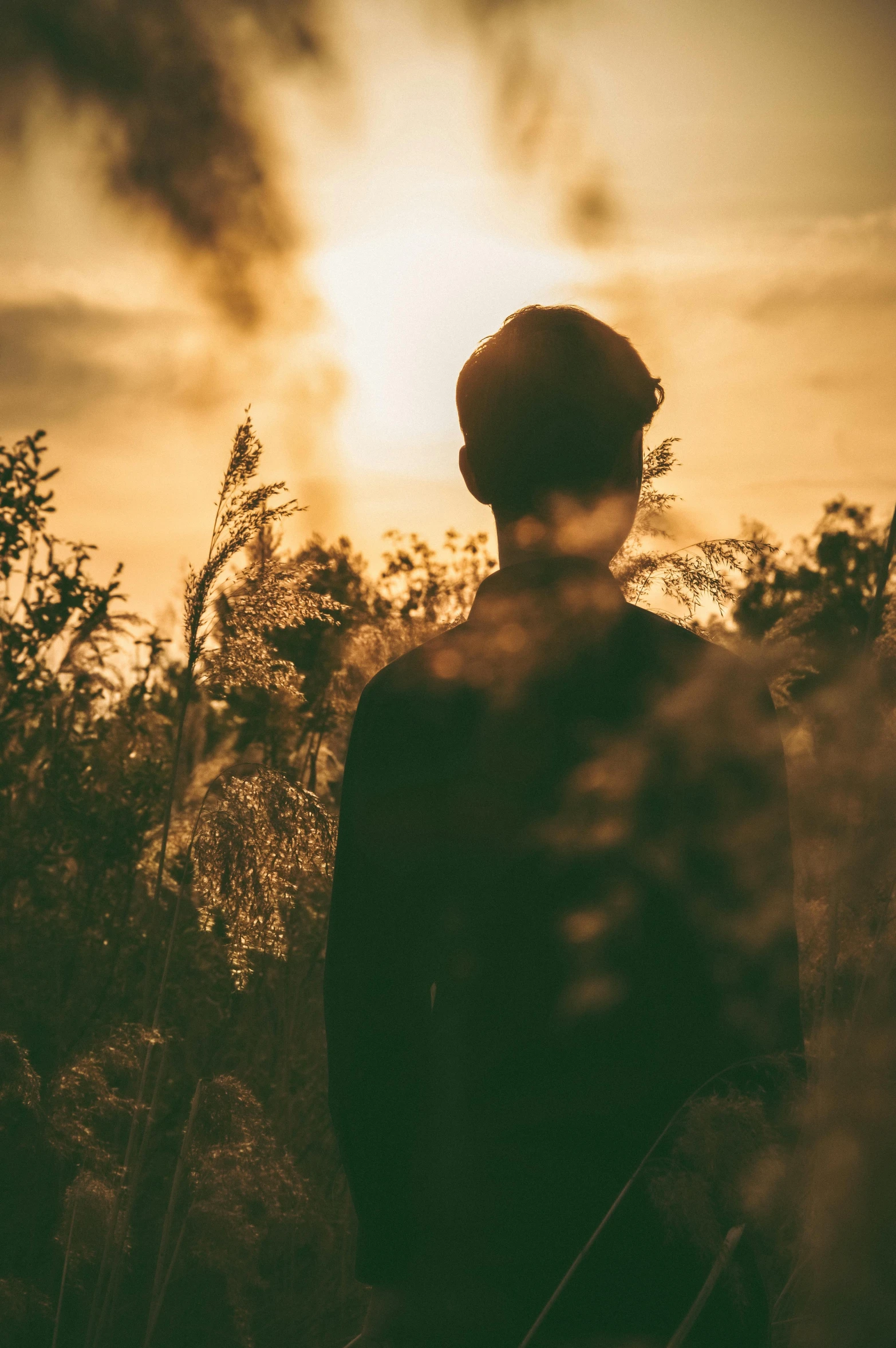 man standing in tall grass during sunset or dawn