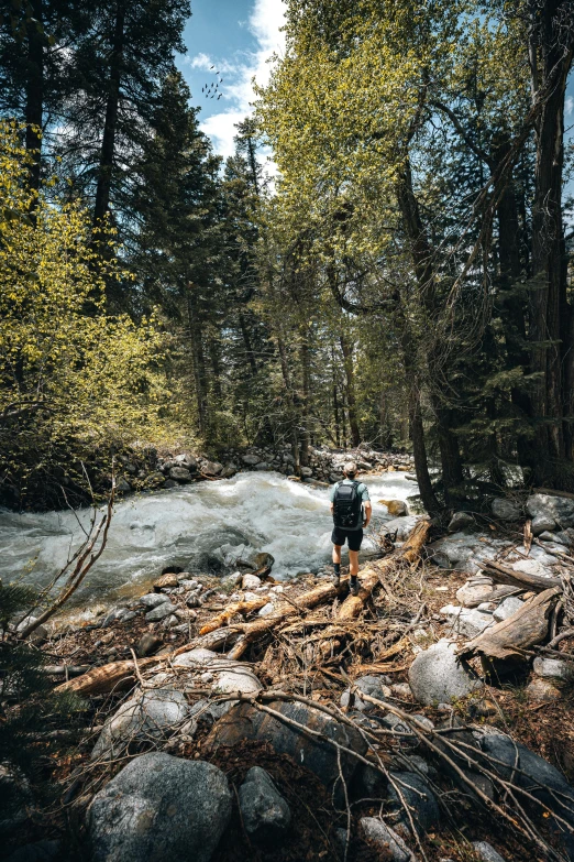 a person stands on a log in the woods