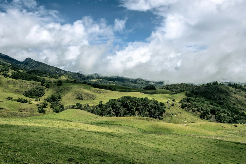 a lush green hillside covered in trees and clouds