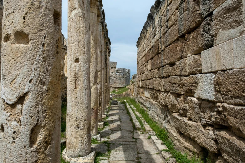 ancient ruins and green grass are everywhere among