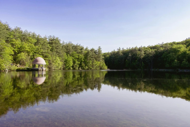 a calm lake surrounded by woods on a sunny day