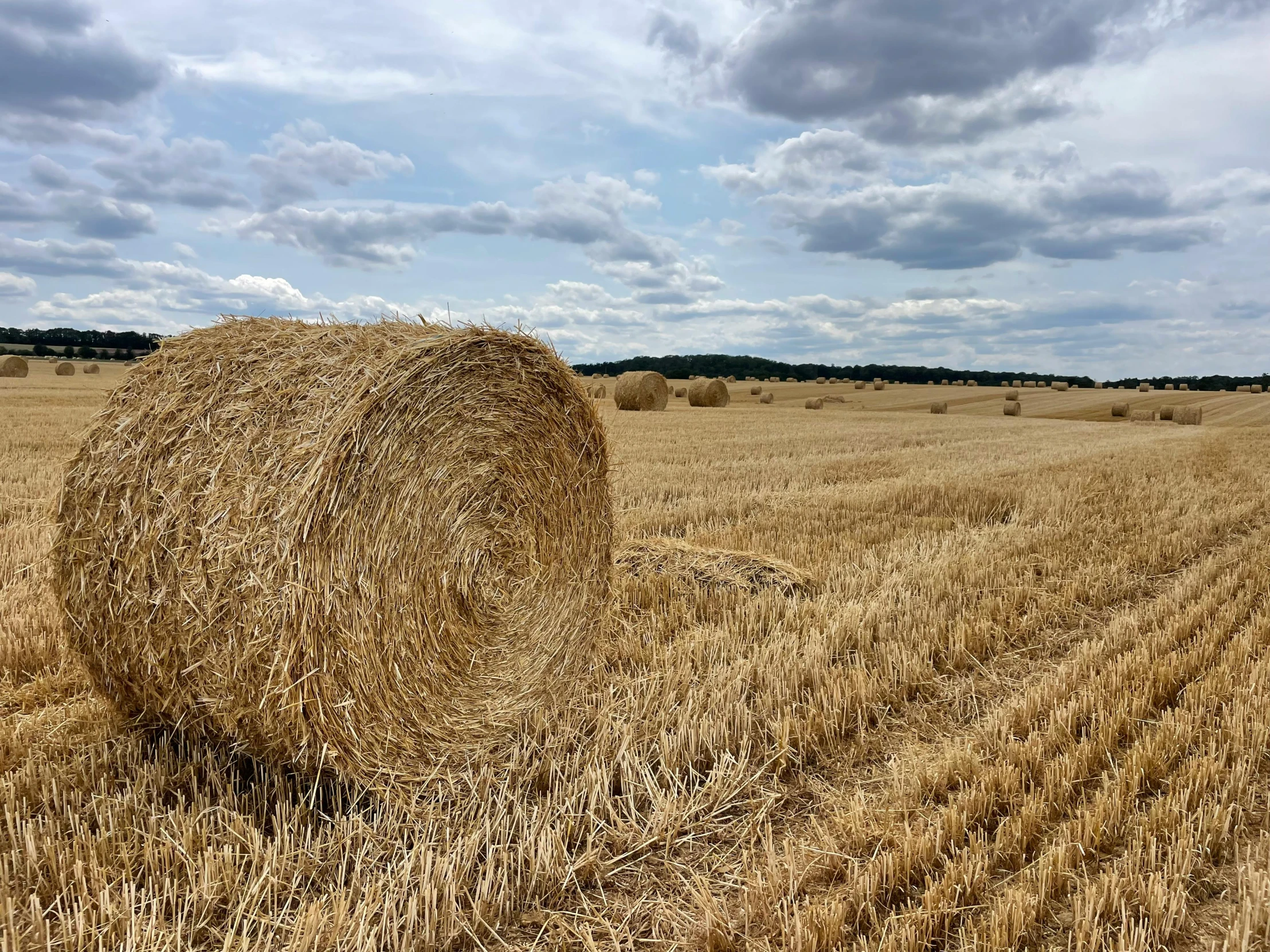 a big round hay ball sitting on top of dry grass