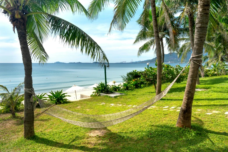 the sea is seen behind coconut trees on the island