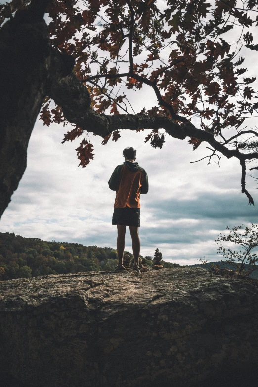 a person is looking out at the distant tree