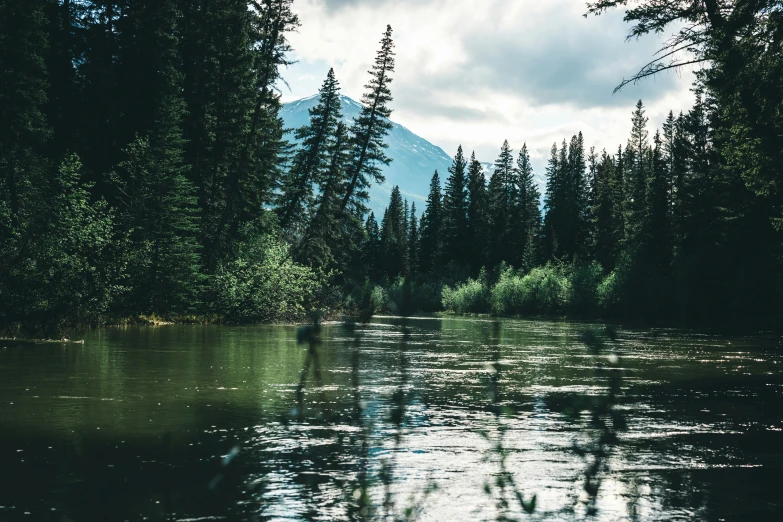 the silhouette of trees and a person in a canoe on the edge of a river